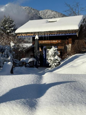 Le Petit Nid d'Amour, Propriétés Mont Amour Montriond